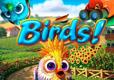 Birds